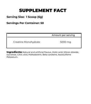 Big Ramy Labs - RED REX CREATINE